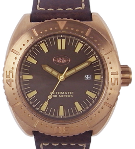 Bronze Watch (BS992784)