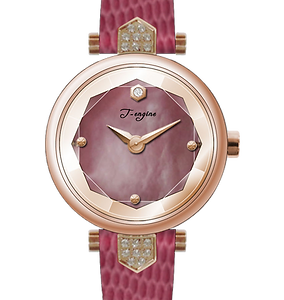Ladies Watch BS993067